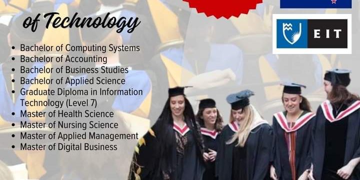 FB_IMG_1729735046545