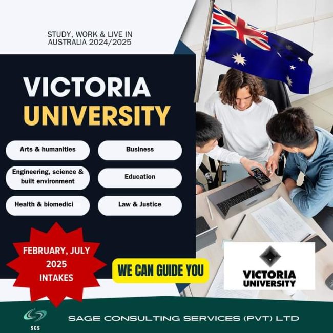 FB_IMG_1731034278762