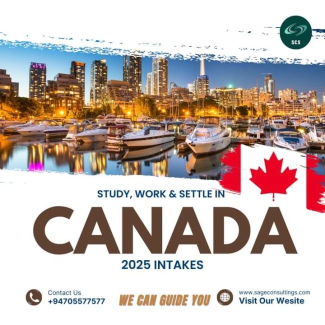 FB_IMG_1731378616798