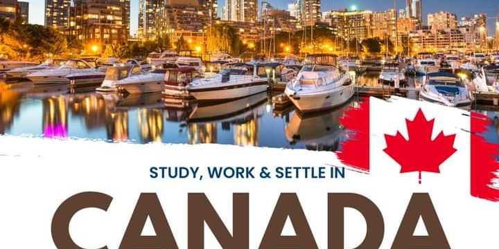 FB_IMG_1731378616798