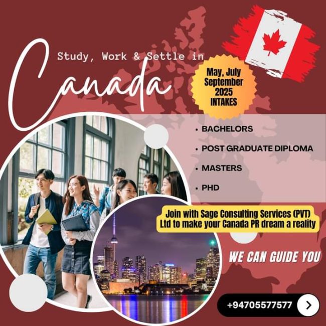 FB_IMG_1731547468968