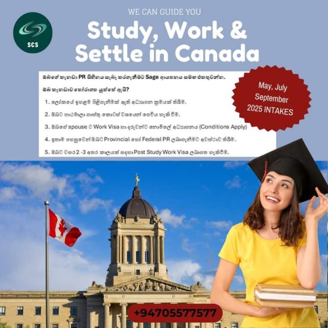 FB_IMG_1731779340597