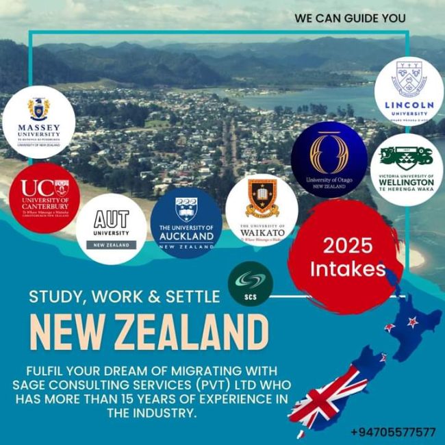 FB_IMG_1732240708526