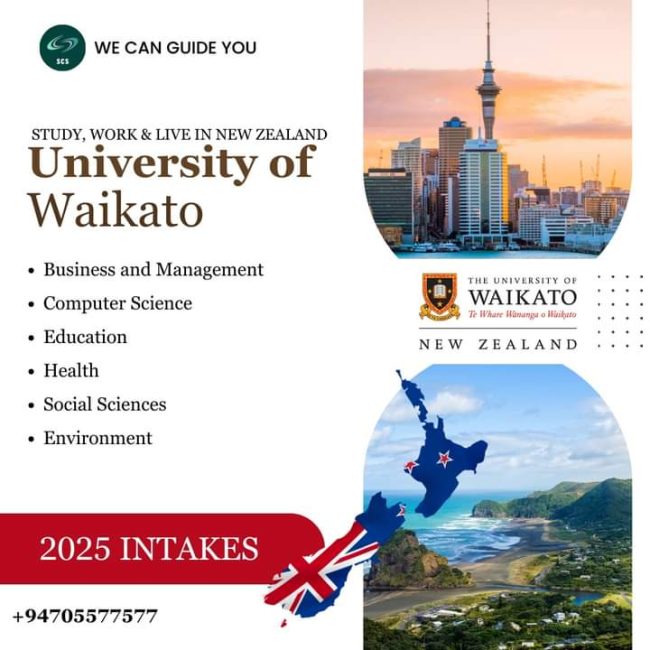 FB_IMG_1733450697849